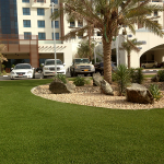 Royal Grass Al Ain UAE