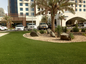 Royal Grass® Al Ain UAE