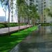 Royal Grass