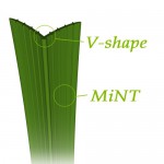 VshapeMint1-500x500