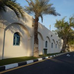 Royal Grass artificial grass