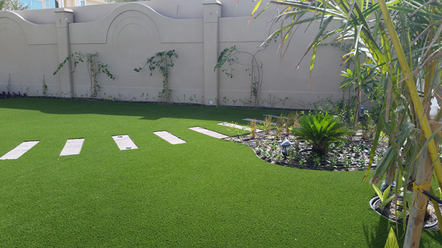 Royal Grass Middel East