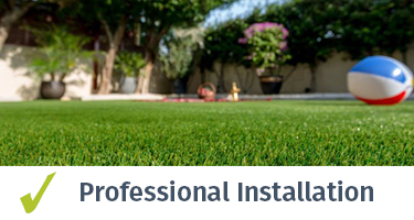 professional1